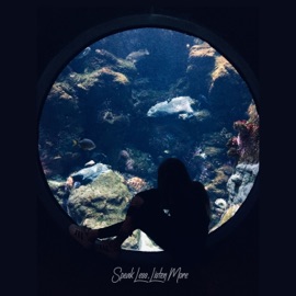 Aquarium Nessen