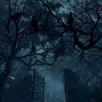 Betterduck! - Single - Crowlyyy