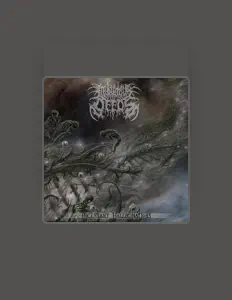 Ακούστε περιεχόμενο από Iniquitous Deeds, παρακολουθήστε μουσικά βίντεο, διαβάστε το βιογραφικό, δείτε ημερομηνίες περιοδείας, και πολλά ακόμη!