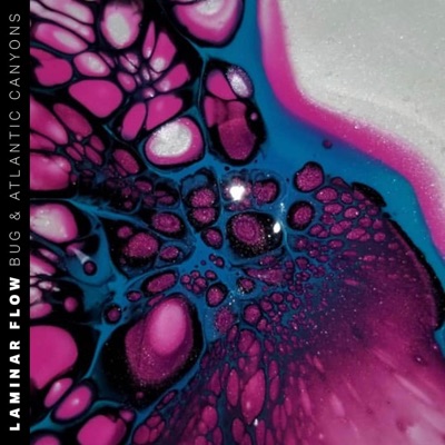 Laminar Flow (feat. Bug) - Single