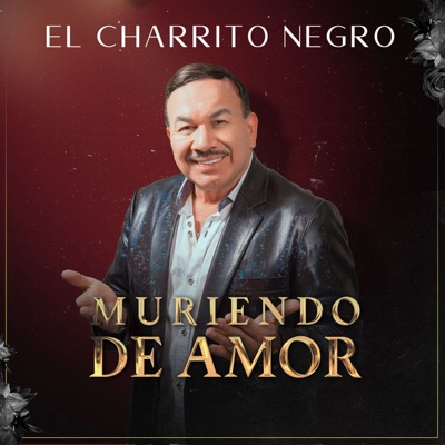 Muriendo de Amor - El Charrito Negro | Shazam