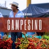 CAMPESINO - Single