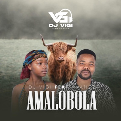 Amalobola (feat. Anande) - Single