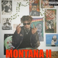 Montana 2 - Grewwy Montana