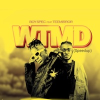 Wtmd (Speedup) [feat. TeeMirror] - Single - Boyspec