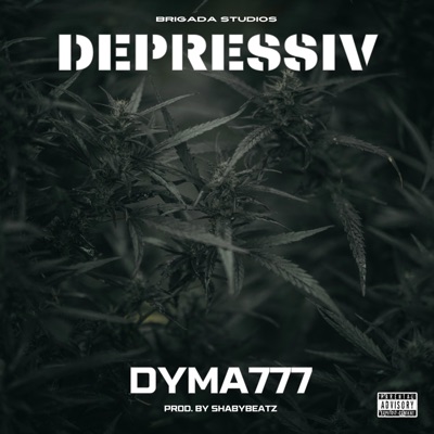 Depressiv (feat. Shaby Beatz) - Single