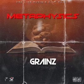 Metaphysics Grainz