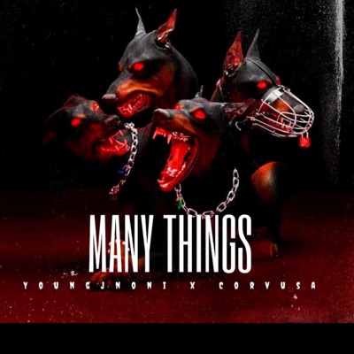 Many things (feat. Corvusa) - Single