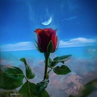 Dont Let Go - Single - Pichü Covitz