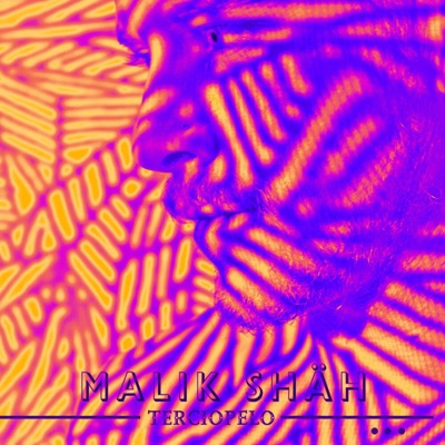 Terciopelo (feat. Mr. Pincho) [Isayah Thomas Remix] - Single