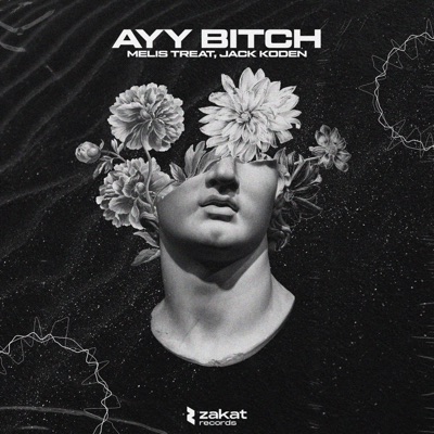 Ayy Bitch - Single