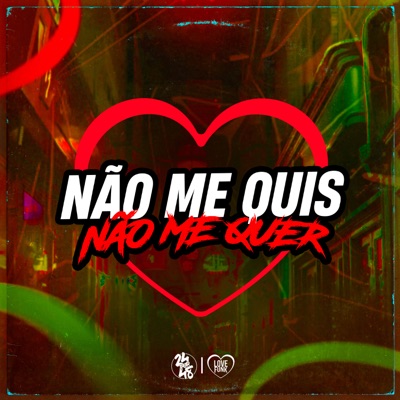 Não Me Quis Não Me Quer - Single