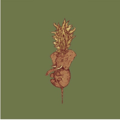 شور ابو فاضل