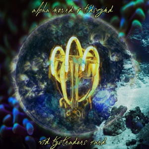 Vid tystnadens rand - Single