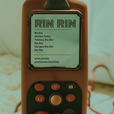 Rin Rin (feat. Kerem Demirbas) - Single