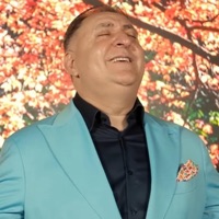 Toata Viata Calator (feat. Denis Ramniceanu) - Single - Vali Vijelie