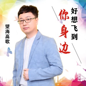 好想飞到你身边 - Single