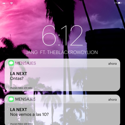 La next (feat. Theblackrowdylion) - Single