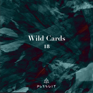Wild Cards 18 - Single