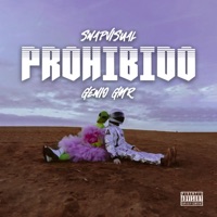 Prohibido (feat. SnapVisual) - Single - Genio GMR