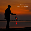 Life Treasure - Adam Cseri