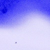 The Conspiracy Theories of Junior - Young Xpert