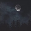 It's Getting Dark