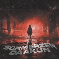 Schmerzen - Single - daakun