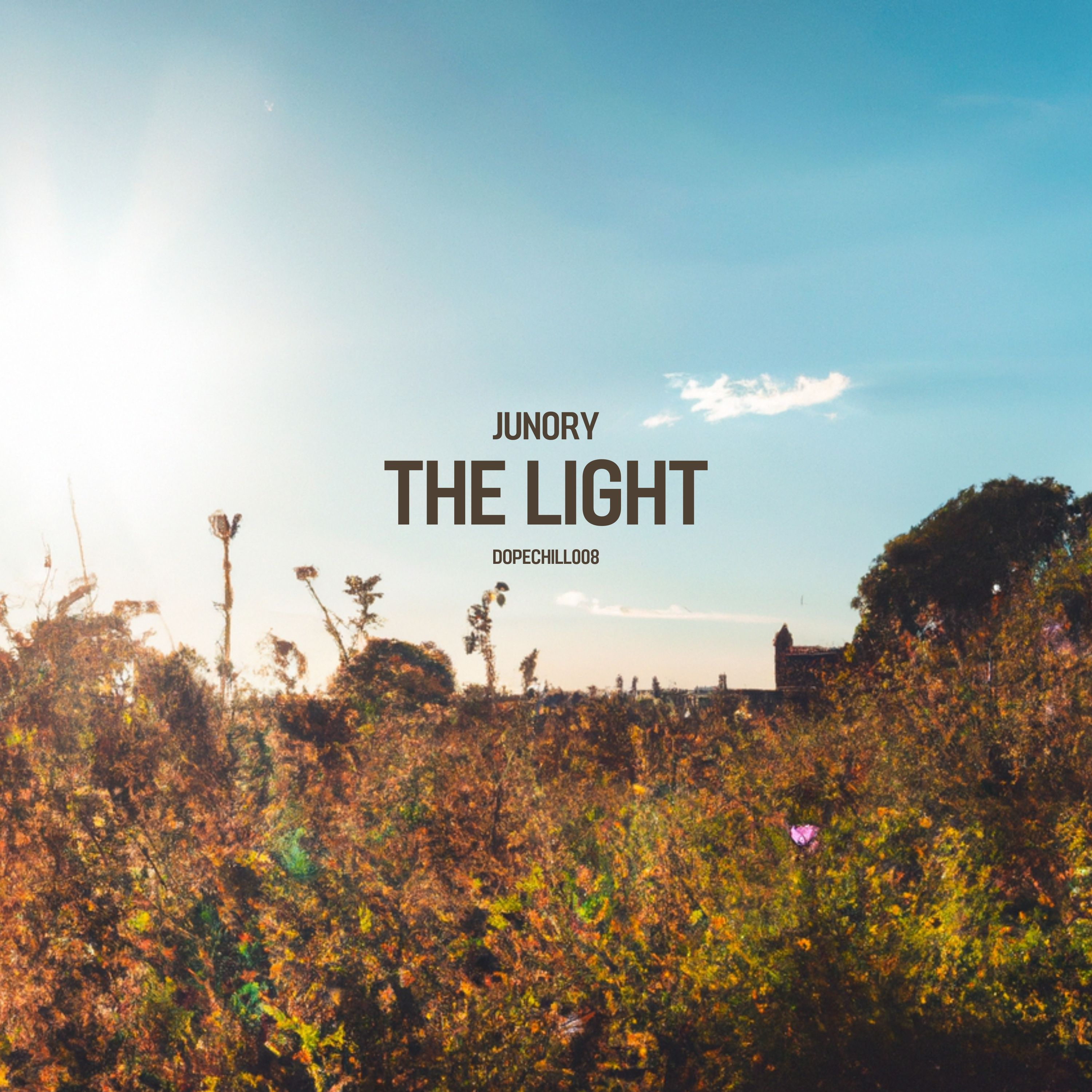 The Light - Single