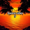Snooze Vibes 9