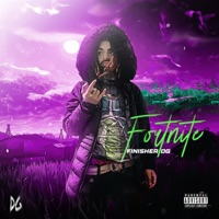 Fortnite - Single - Finisher DG