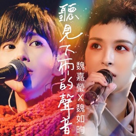 聽見下雨的聲音 (feat. 魏如昀) Arrow Wei