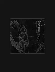 Escucha a Levente Fegyverneky, mira videos musicales, lee su biografía, consulta las fechas de las gira y más.