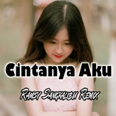 DJ Cintanya Aku artwork