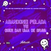 Abandonei Pelada Vs Quer Dar uma de Brava (feat. MC RR do Campos) - Single