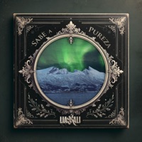 Sabe a pureza - Single - Lia Kali & Toni Anzis