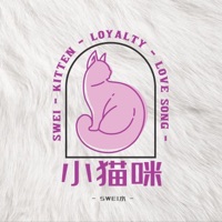 小猫咪 - Single - Swei水