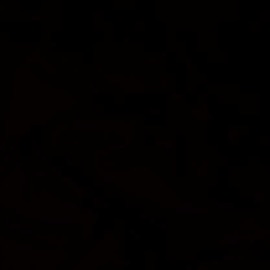 Paranoid Southside Saint