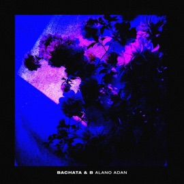 Bachata & B Alano Adan