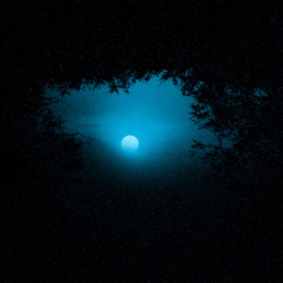 Wander - Single