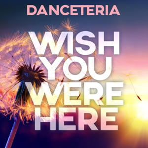 Wish You Were Here - Single