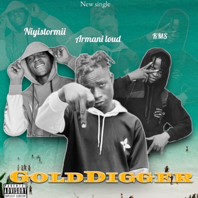 Golddigger (feat. Niyistormii & KMS) - Single