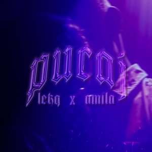 Pucaj