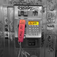 Zu Spät - Single - RobinIO