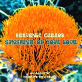 Sunshine of Your Love artwork