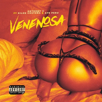 Venenosa (feat. Kiloe Costeño & Aye Peru) - Single