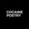 Cocaine Poetry - SNOEK lyrics