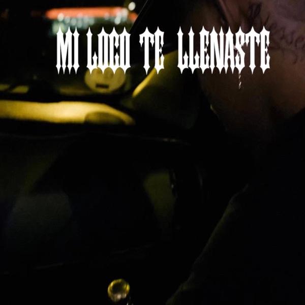 Mi loco te llenaste