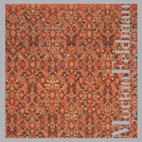 Patterns In A Chromatic Field - Morton Feldman