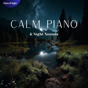 Calm Piano & Night Sounds